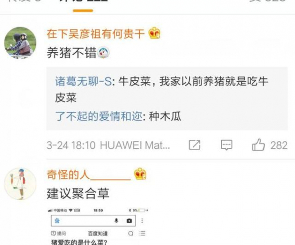 4AM新基地曝光 內含菜園專供韋神女友養豬？
