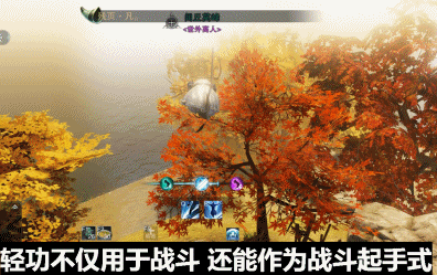 12.gif