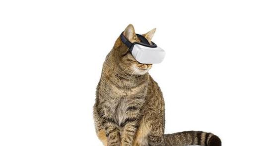 全球首款Cat VR发布让猫咪宅在家里娱乐