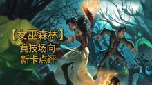  墨澤爐石新卡點(diǎn)評 競技場中的女巫森林